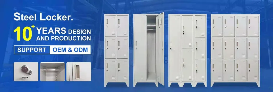 School/Office/Gym Locker 12 Doors Metal Steel Clothes Storage Lockers for Staff